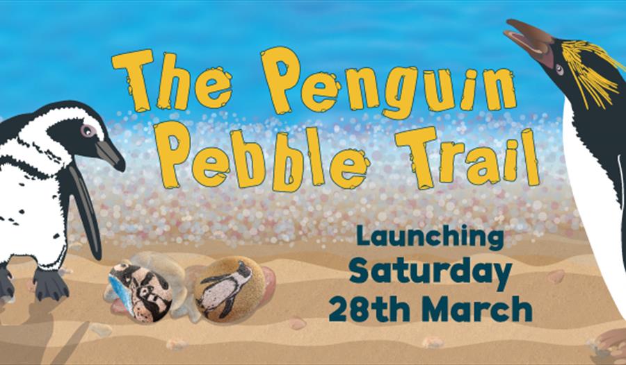 The Penguin Pebble Trail