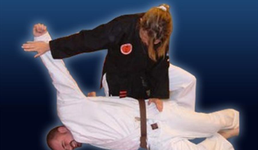 Kyushin Ryu Ju Jitsu Association