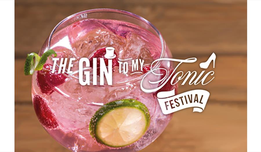 The Gin To My Tonic Festival at St George's Bristol
