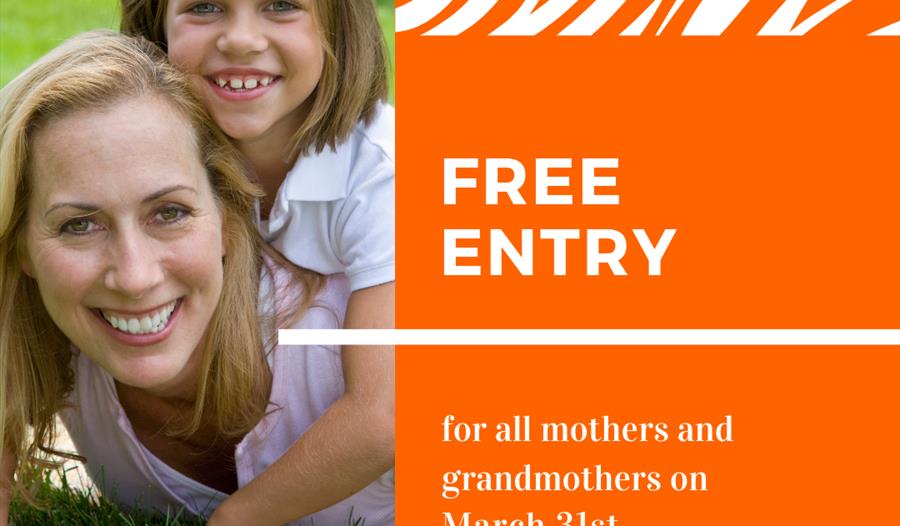 Mother's Day offer at Dartmoor Zoo
