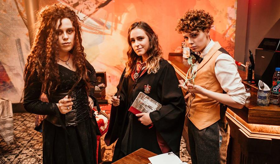 DraigCon - an independent Harry Potter fan convention