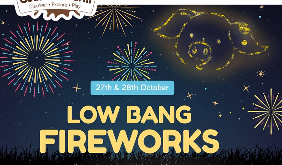 Godstone Farm's low bangs fireworks display is perfect for sensitive and little ears.