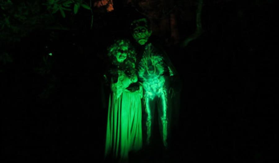 After Dark - Family Fright Night at Dunster Castle