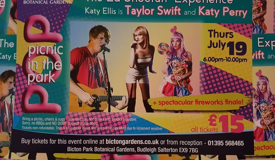 Pop Picnic in The Park Ed Sheeran, Taylor Swift and Katy Perry Experience