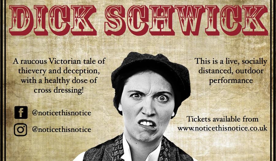 The Most Sensational Comedy of Dick Schwick