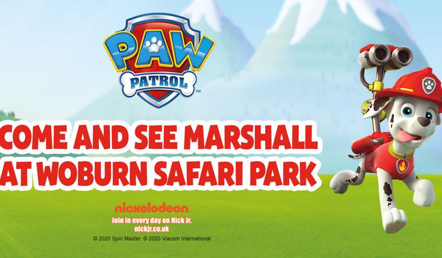Storytime with Marshall from Paw Patrol this Easter at Woburn Safari Park