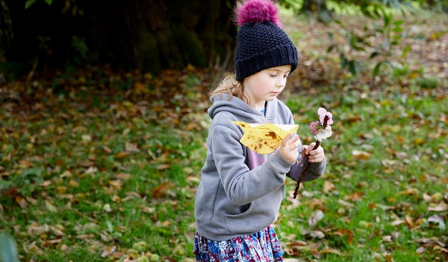 A young girl examines plants at Ilam Park, Staffordshire