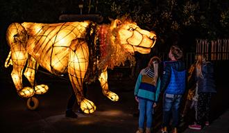 Lanterns and Light at Chester Zoo