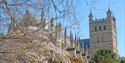 Curious About Exeter - Exeter Cathedral in Spring