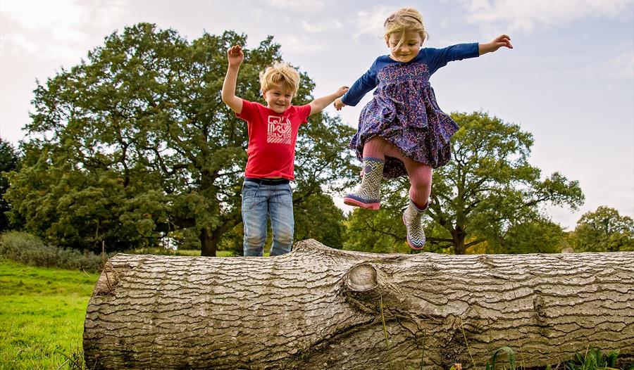 Two children jump onto a log at The Wolseley Centre, Staffordshire