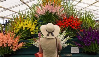 Woman in a sun hat looking  at flowers