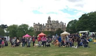 Competitors line up with their dogs in front of food and drink stalls within the grounds of Thoresby Park