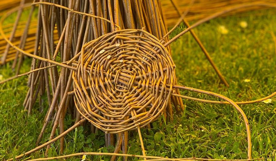 Willow being woven into a basket