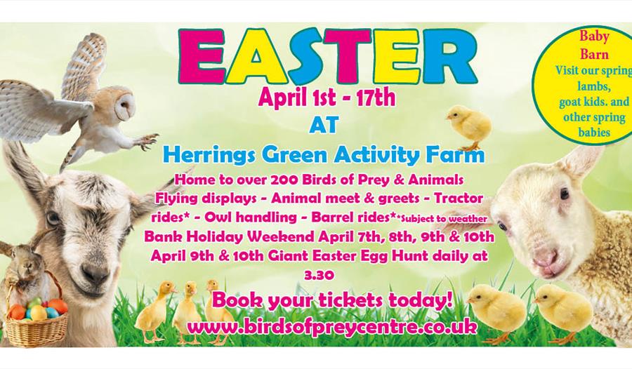 Easter at Herrings Green Activity Farm