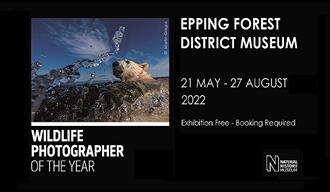 Wildlife Photographer of the Year Free exhibition at the Epping Forest District Museum