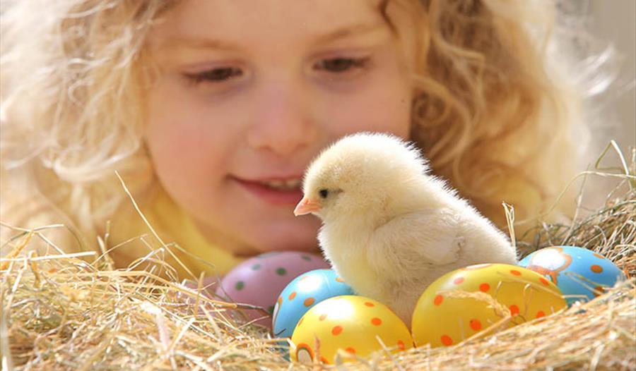 An Egg-ceptional Easter for Devon