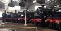 Five steam Trains at Barrow Hill Roundhouse