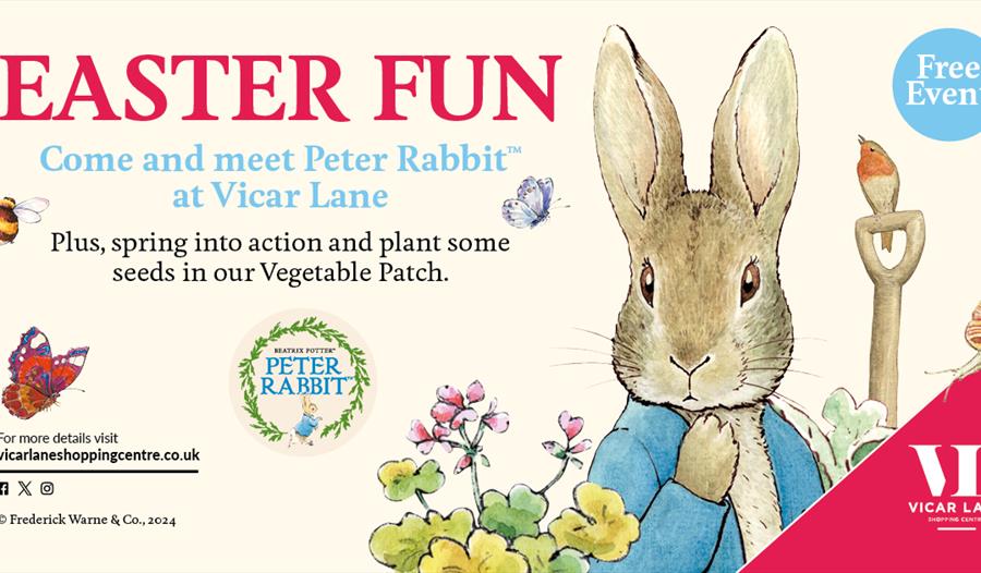 Peter Rabbit Image