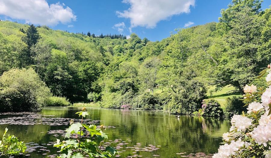 Mums go Free this Mother's Day at Canonteign Falls