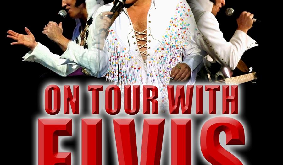 On Tour with Elvis - starring Michael King
