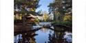 Come and see our 100 year old Japanese Garden,
