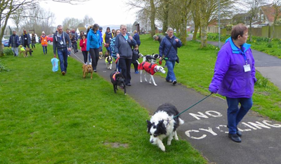 "Mutt Strutt" Fundraising Dog Walk in aid of RSPCA Brent Knoll Animal Centre