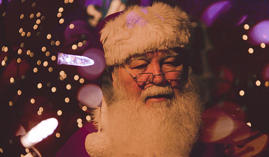 Find Santa and other top Festive days out!