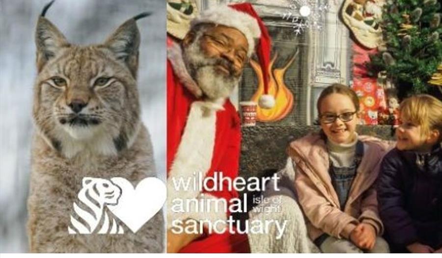 Isle of Wight, Things to do, Christmas Events, Christmas Markets, Wildheart Animal Trust, Sandown