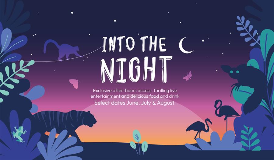 Into the Night at Chester Zoo Poster