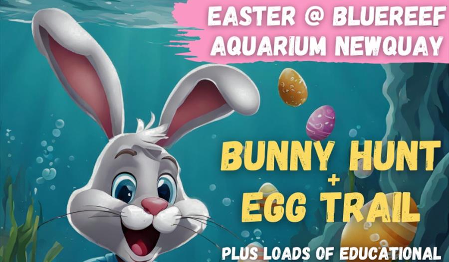 Easter Egg Hunt at Newquay's Blue Reef Aquarium