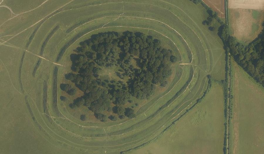 Dorset Archaeological Days: Badbury Rings