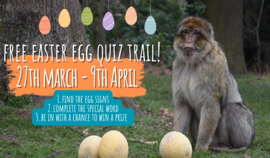 Free easter egg quick trail 27th march - 9th april