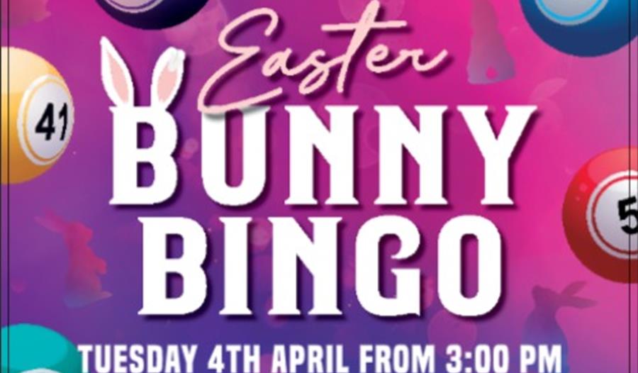 Easter Bunny Bingo, Yates, Torquay, Devon