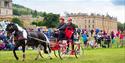 Horse and Carriage racing at Chatsworth Country Fair
