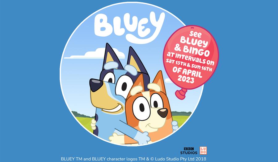 Bluey & Bingo Are Coming to Manorafon Farm Park!