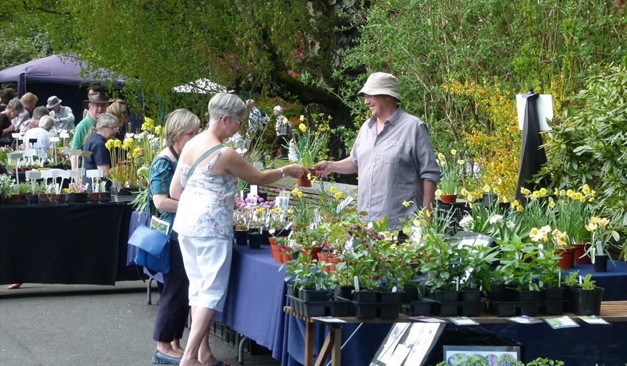 Plant Hunters' Fair at the Dorothy Clive Garden