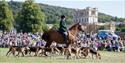 Hounds at Chatsworth country fair