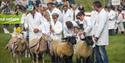 Sheep (c) Devon County Show Credit: Geoff & Tordis Pagotto