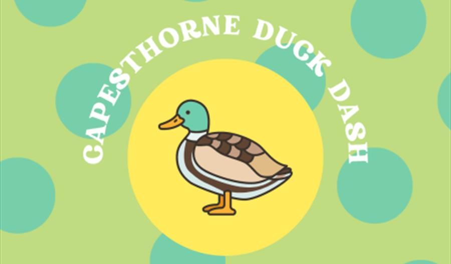 Capesthorne Duck Dash