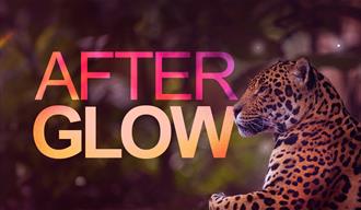 After Glow at Chester Zoo