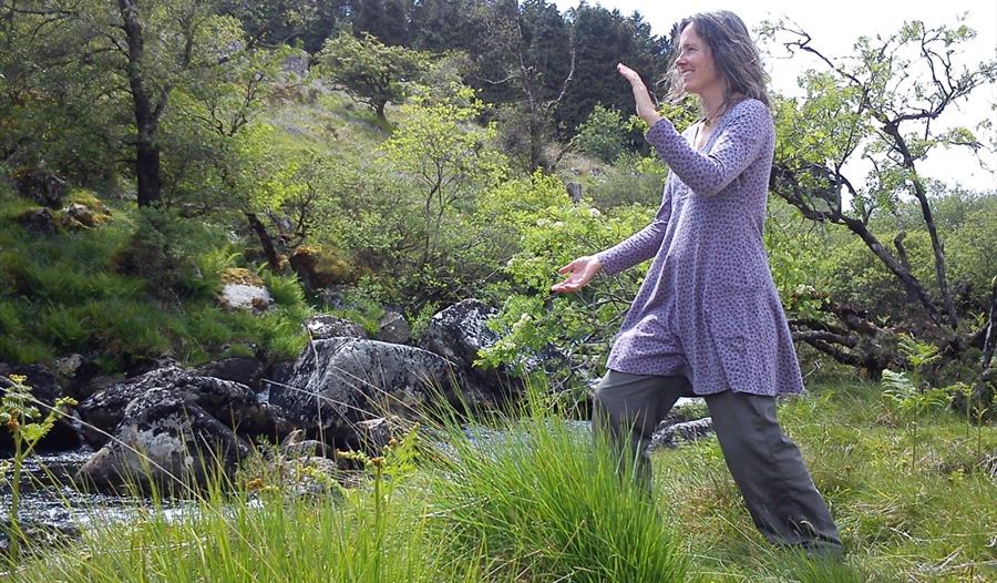 Forest Chi, Tai Chi and Nature