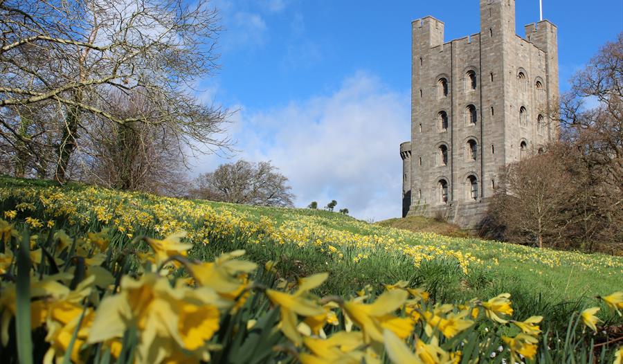 Easter adventures in nature at Penrhyn Castle