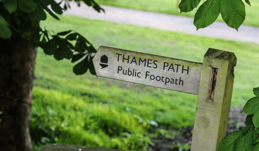 Thames Path 100