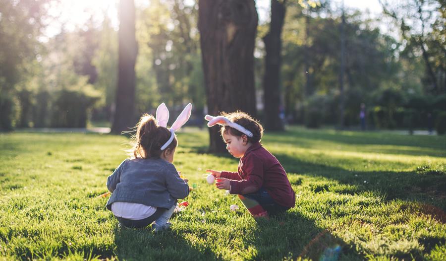 Hedgwood the Rabbit: Free Easter Trail