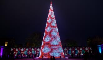 Longleat Christmas Tree