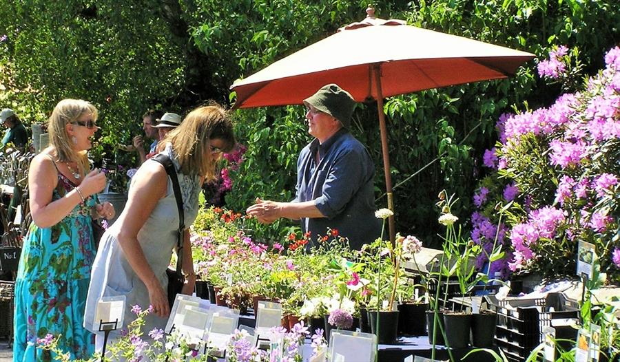 Plant Hunters Fair – Special Fundraising Event