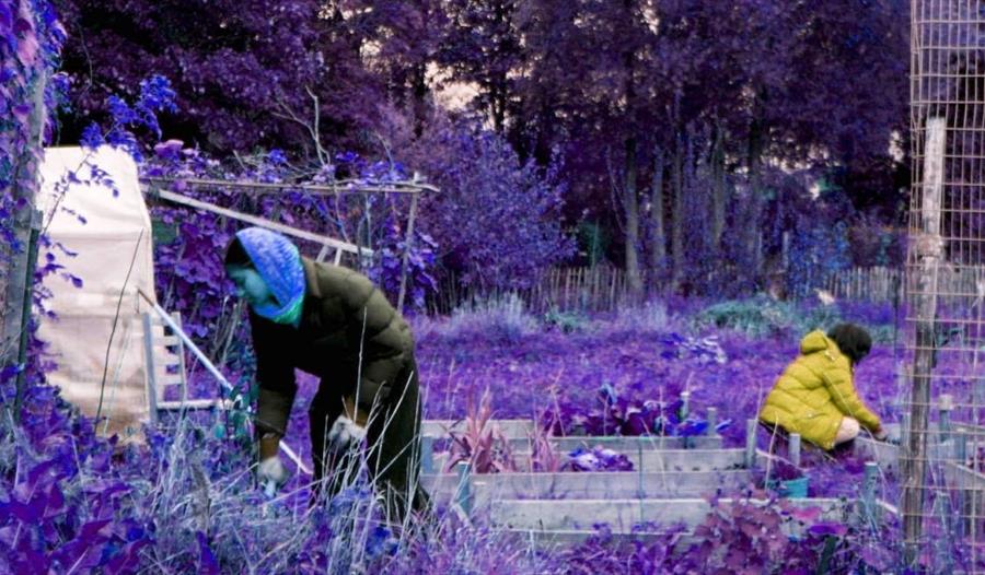 Your Ecstatic Self, dir. Rehana Zaman, 2019: people working in the allotment-all in blue shades
