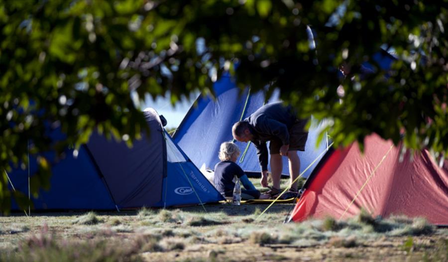 Child and adult enjoying a camping tip on the island