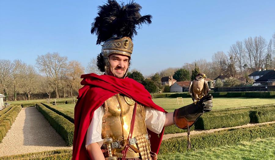 Easter at Fishbourne Roman Palace: Wild Things