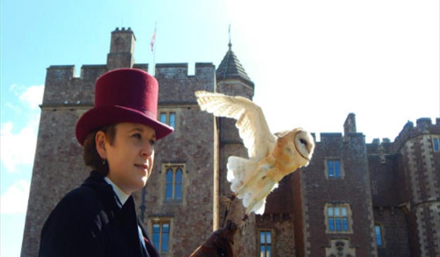 Gothic Falconry at Dunster Castle